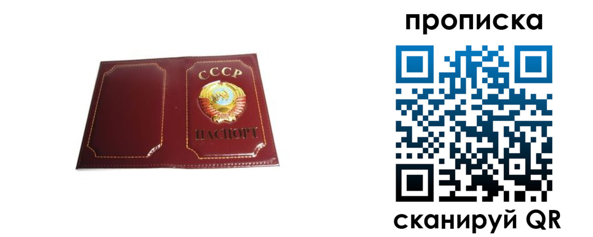 прописка гарантия в Няндоме